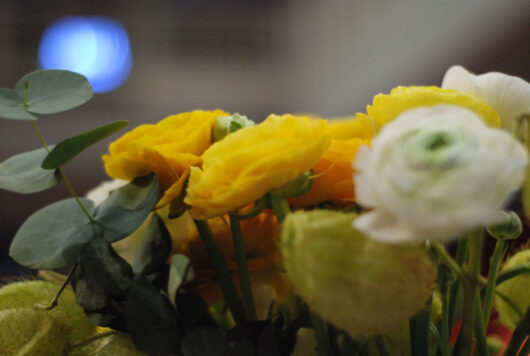 13 Mars © Mélodie Penet