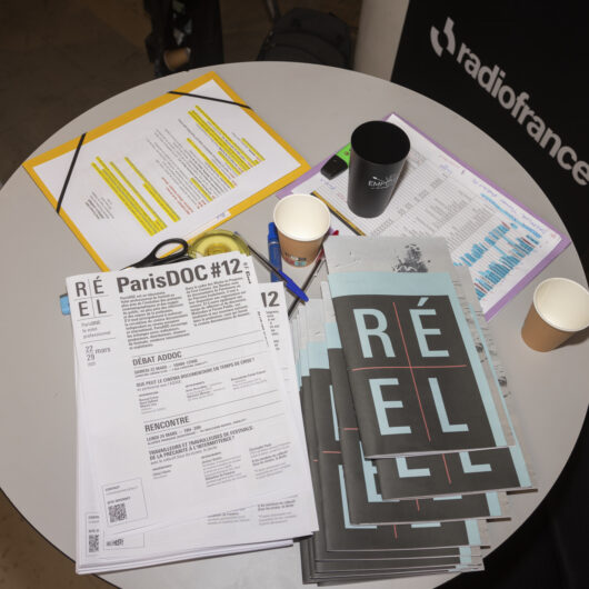 24 March - ParisDOC - First Contact © Hervé Veronese