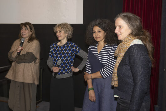 24 mars - Sylvie Ballyot, GREEN LINE © Hervé Veronèse