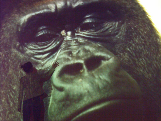 Soirée Surprise. Die Natch / La Nuit, avec le soutien de ARTE. Avec Stéfanie Schüler © Mathieu Marre