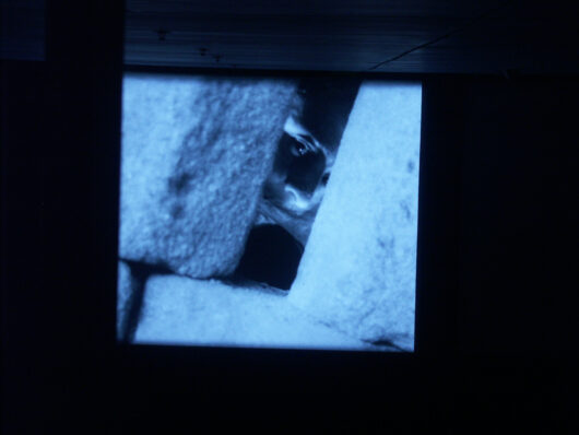 9 Mars - Projection d'un film © Sylvain Bich